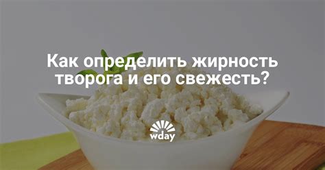 Как определить, что творог пропал: эффективные методы и советы