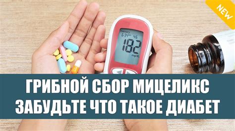Как осиновая кора помогает нормализовать уровень сахара в крови