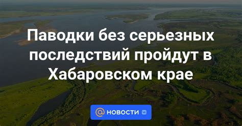 Как отказаться от сестры или брата без серьезных последствий
