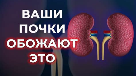 Как поддерживать здоровье почек
