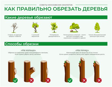Как правильно обрезать