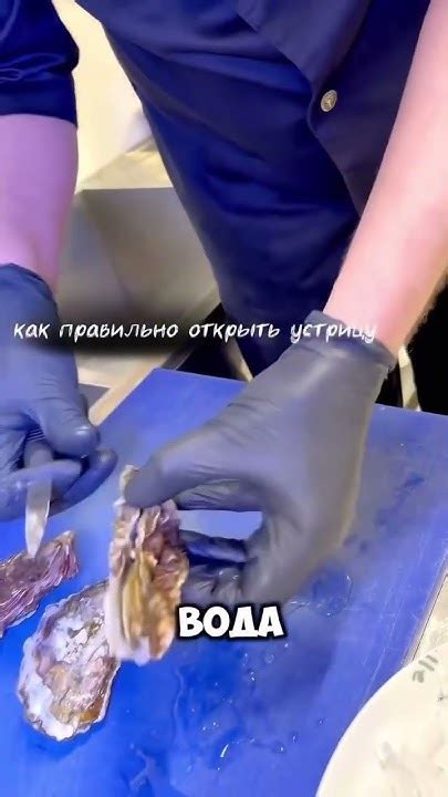 Как правильно открыть устрицу