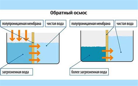 Как правильно очистить воду от известковых осадков