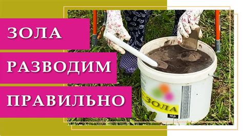 Как правильно смешивать золу и перегной для достижения максимальной эффективности