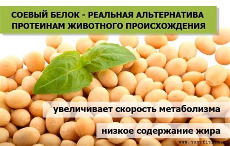 Как правильно сочетать соевый протеин с молоком: рекомендации и советы