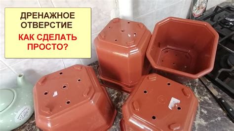 Как сделать отверстия в горшке для драцены