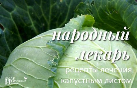 Капустный лист и его роль при подагре: факты и мнения