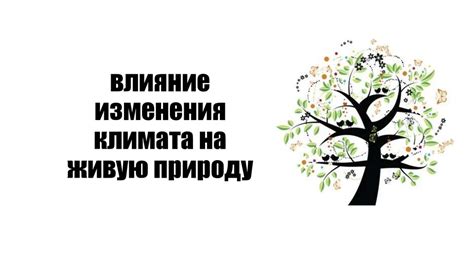Категории и их влияние на понимание мира