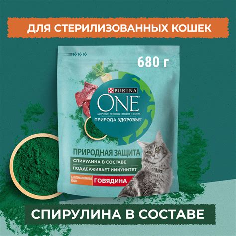 Кефир для укрепления здоровья стерилизованных кошек