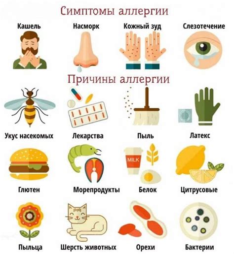 Клопы: могут ли они вызывать аллергию у человека
