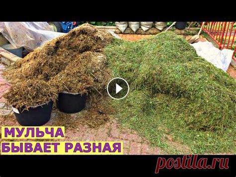 Когда и как убирать мульчу