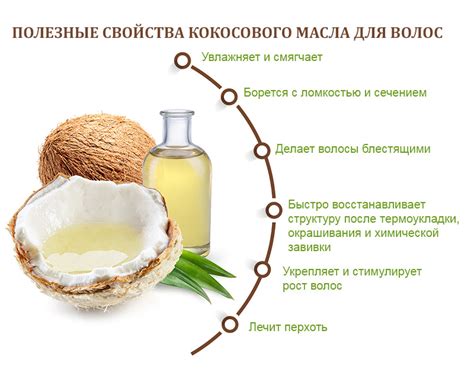 Кокосовое масло: полезные свойства и применение в похудении