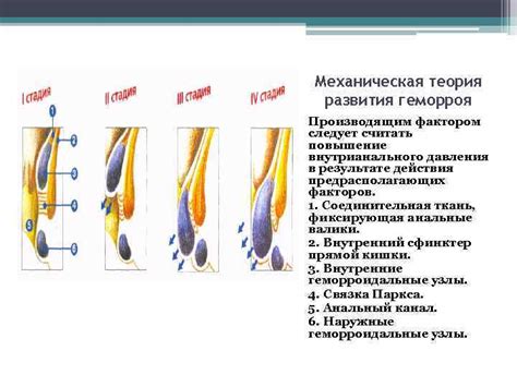 Компрессия органов, повышение давления, риск развития геморроя
