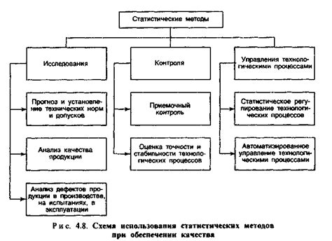 Контроль качества и готовность капусты