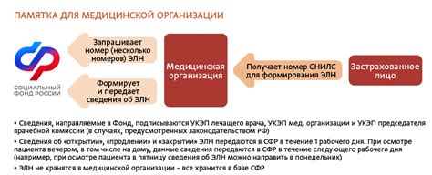 Кто может получить пособие по временной нетрудоспособности