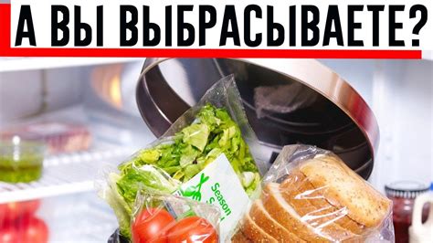 Куда деть остатки еды, которые нельзя выкидывать в полете