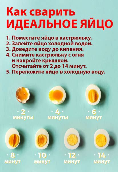 Кулинарная особенность: готовка яйца всмятку на ужин