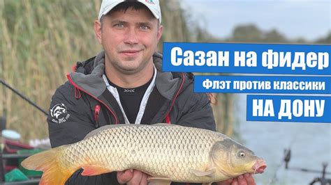 Ловится ли сазан в октябре на Дону