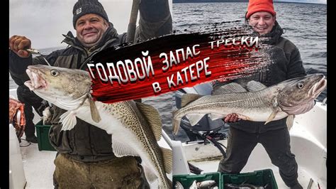 Ловля трески в Белом море: выбор популярных мест и приманок