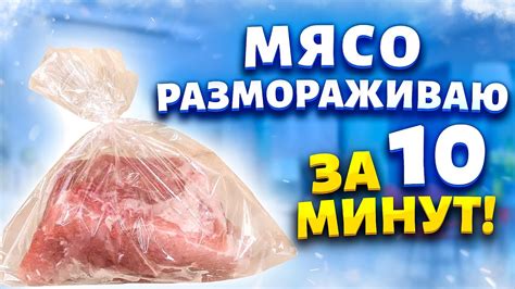 Лучшее время для заморозки свежего мяса