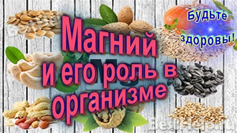Магний и его роль в организме