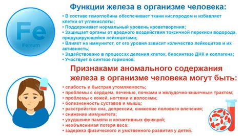 Магнитотерапия: действие магнитов на железо в крови