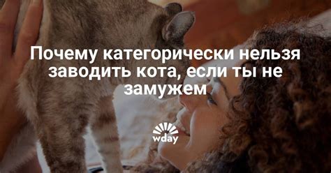 Медицинские аспекты метания котов в квартире