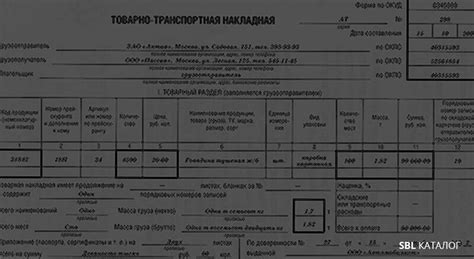 Медицинские документы для перевозки трости