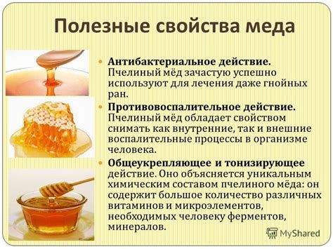 Мед и его полезные свойства для организма