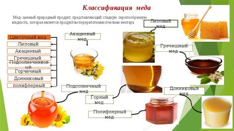 Мед - ценный продукт диеты