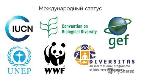 Меры по сохранению ежей и их место в экосистеме Беларуси