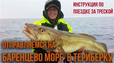 Места для ловли трески в Белом море