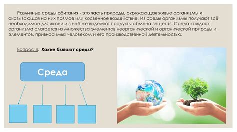 Методы и подходы к оценке экологических проблем
