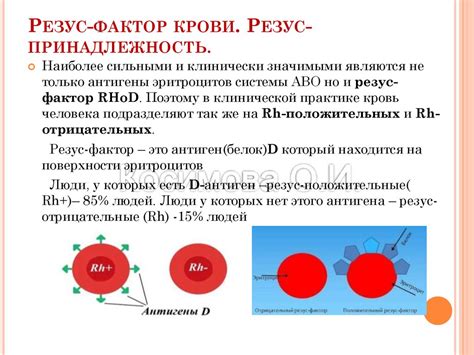 Методы определения отсутствия резус-фактора