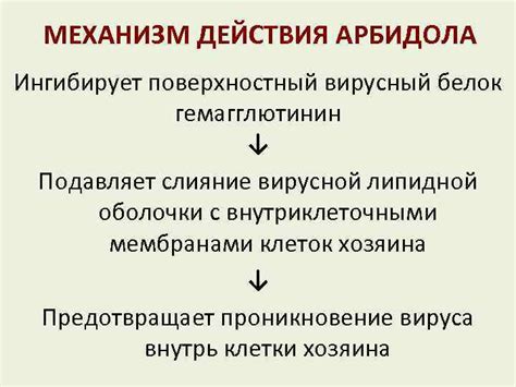 Механизм действия арбидола
