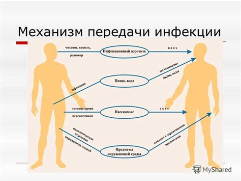 Механизм передачи инфекции и возможные последствия