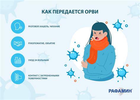 Механизм передачи простуды от кошки к собаке