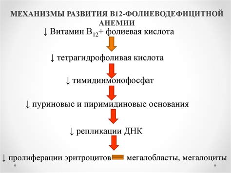 Механизм развития тошноты при анемии