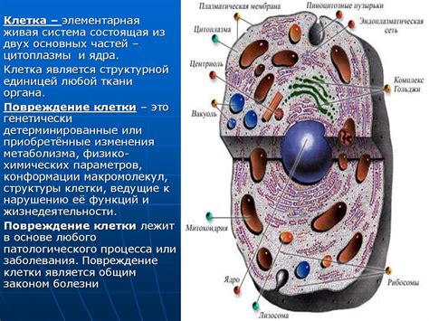 Механические повреждения адаптера