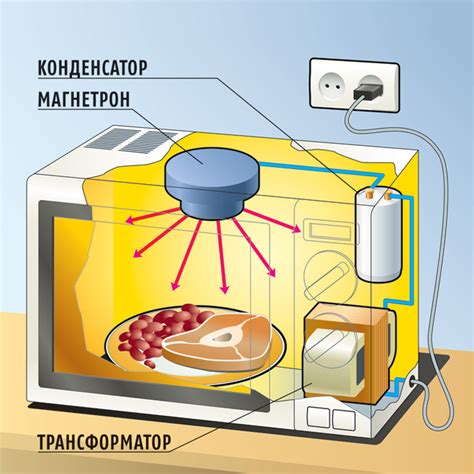 Микроволновка и аквариум: как правильно размещать
