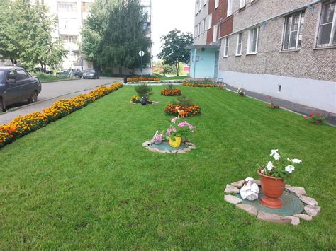 Минусы выращивания цветов на придомовой территории