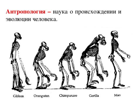 Мифическое происхождение человека: факты и доказательства