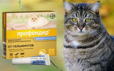 Мифы и правда о применении Декариса для борьбы с глистами у собак