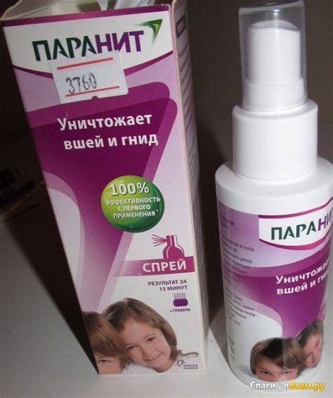 Мифы и реальность: мытье котов шампунем от вшей