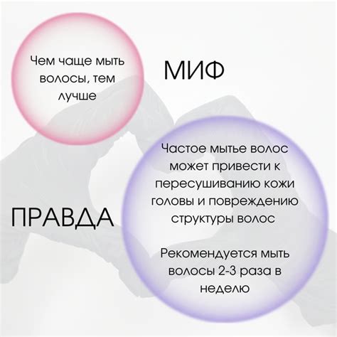Мифы о мытье котят и особенности ухода за ними
