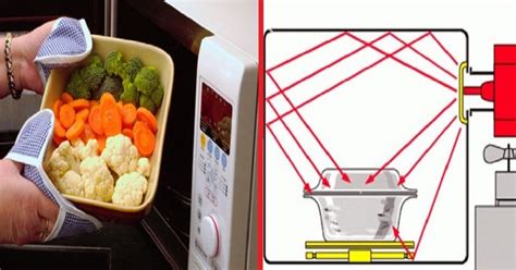 Мифы о размораживании мяса в микроволновке