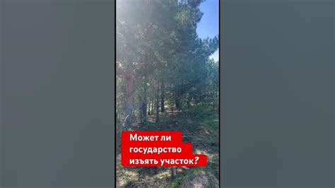 Может ли земельный участок стать объектом выморочных сделок