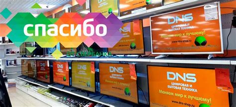 Можно ли оплатить покупку в ДНС с помощью баллов Спасибо: пошаговая инструкция