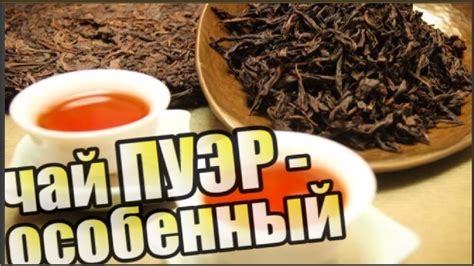 Молоко в чай пуэр: правила добавления и влияние на вкус