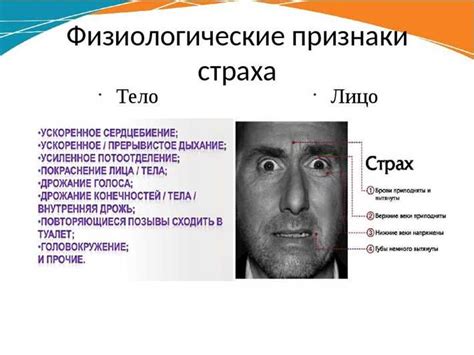Мужчина и его страхи: причины и проявления сдержанности в отношении привлекательной женщины